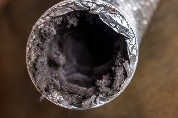 Best Best Air Duct Cleaning Company  in Advae, NC